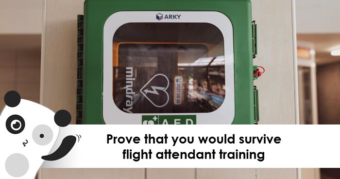 “Would You Make A Good Flight Attendant?”: 28 Questions To Test Your Eligibility