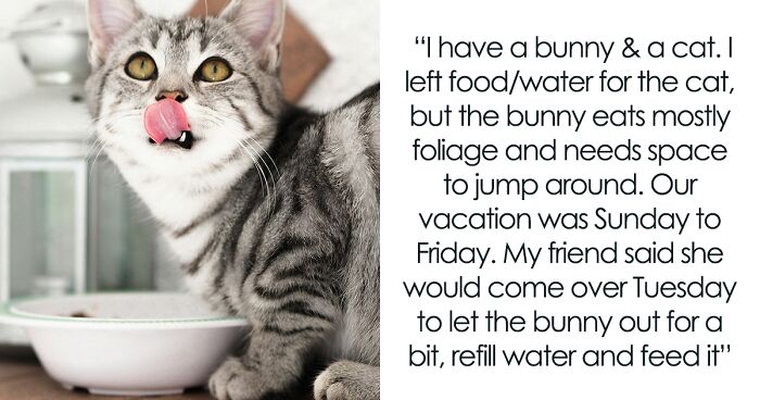 Woman Leaves Pet Care In Friend’s Hands As She Travels, Mortified After Learning She Never Checked