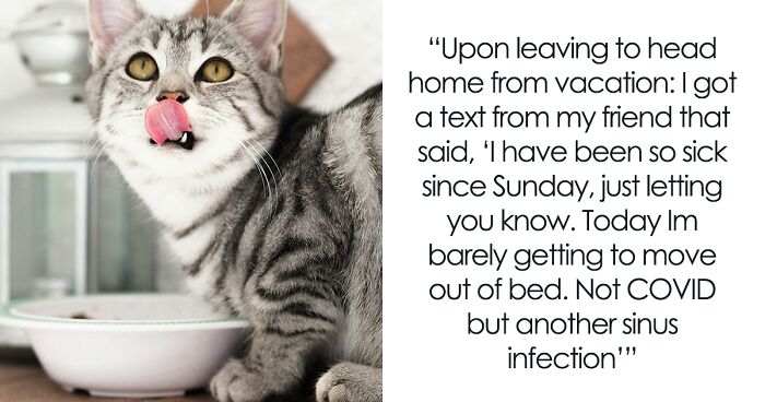 Owner Trusts Bestie With Bunny Care, She Goes MIA Entire Vacation, Texts Only After Damage Is Done