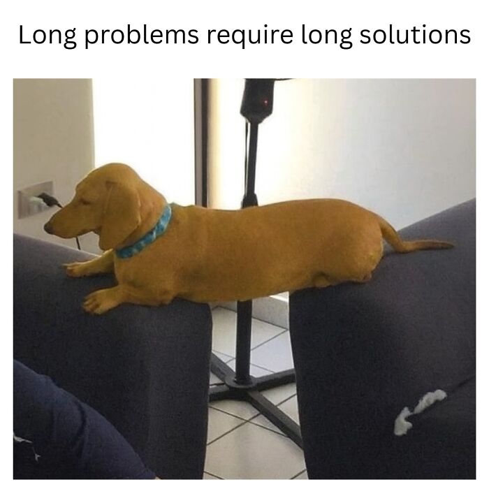 Dachshund stretched between two couch arms showing a long body in a funny animal meme for pet lovers to enjoy.