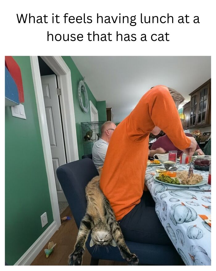 Man in orange shirt eating lunch with a cat stretched awkwardly off the chair in a humorous animal memes moment.