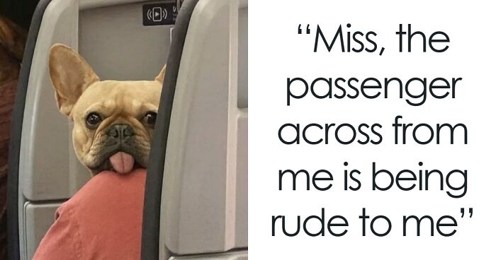 People Are Loving This FB Account That Shares Animal Memes And Here Are 79 Of The Best