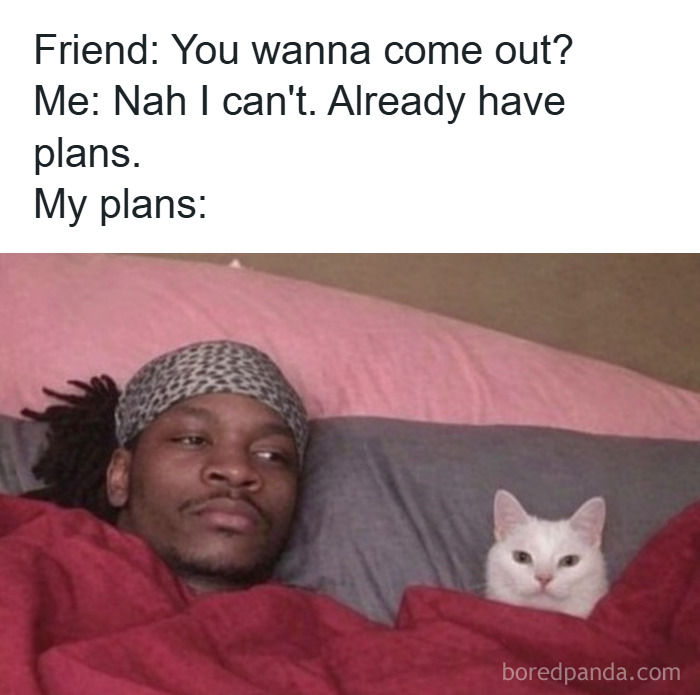 Man and white cat lying in bed under red blanket, a funny animal meme to scroll through while pet is sleeping.