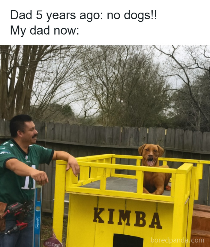 Man smiling next to a yellow dog playhouse with a happy brown dog inside, showcasing animal memes for pet owners.