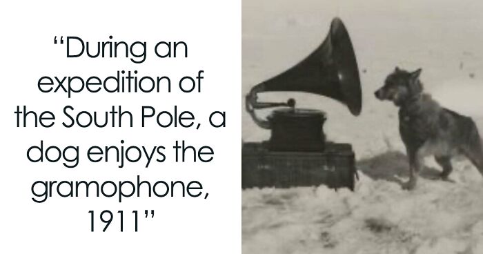 120 Wholesome And Funny Animal Memes To Help You Ignore The Chaos Happening In The World Right Now