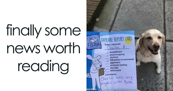 120 Animal Memes That Help People Forget Heavy Thoughts