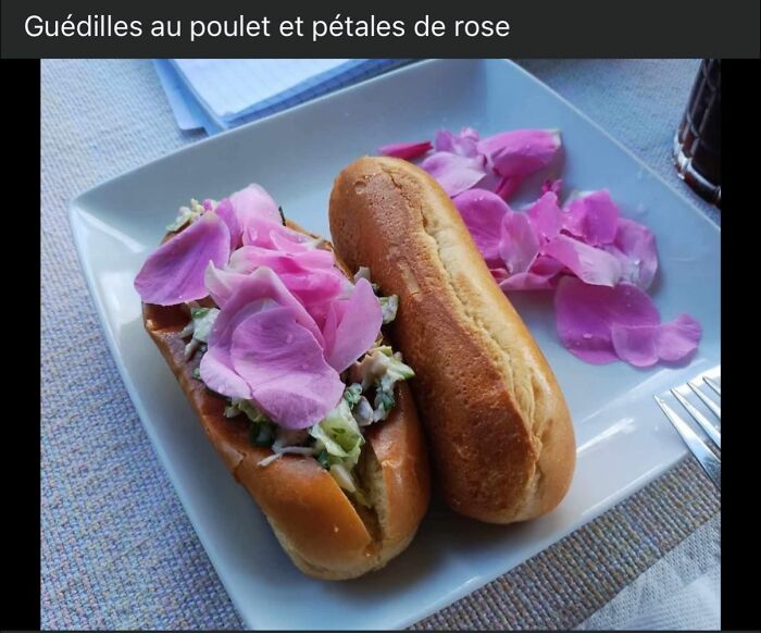 Chicken sandwich topped with rose petals on a plate, an unusual dish featured in food pics to be shamed online.
