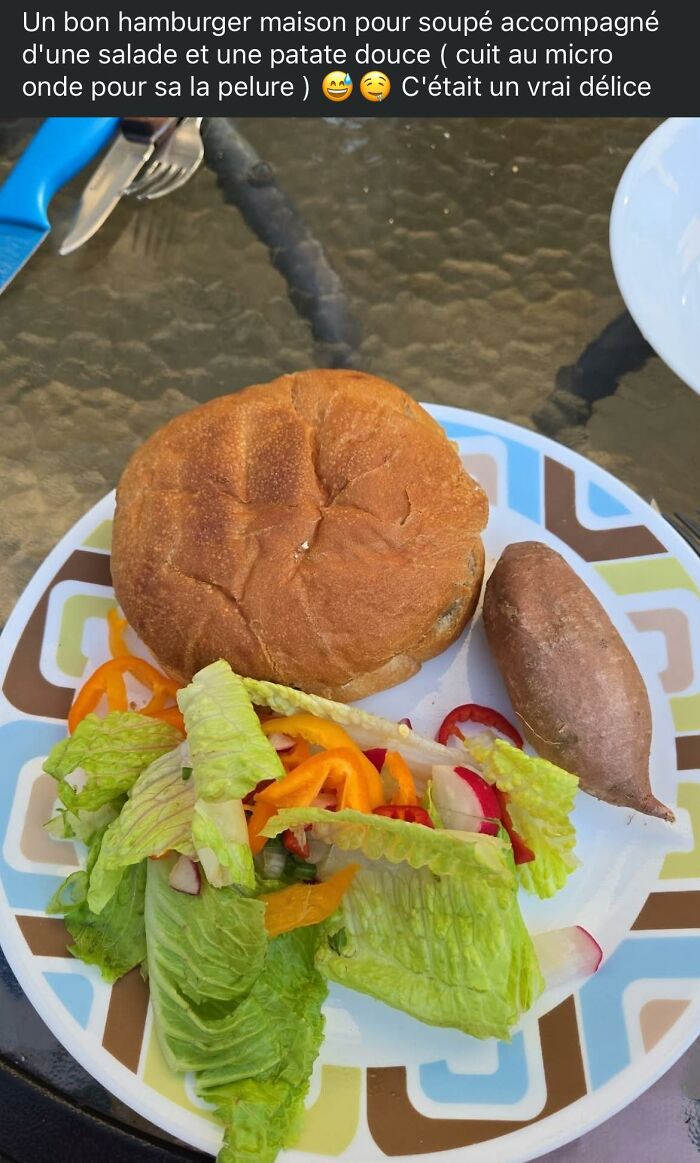 Homemade burger served with simple salad and microwaved sweet potato on a decorative plate food pics to be shamed online