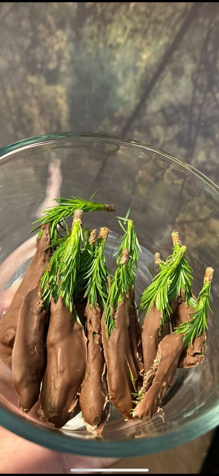 Pine tree branches dipped in chocolate in a glass bowl, an unusual food pic that deserves to be shamed online.