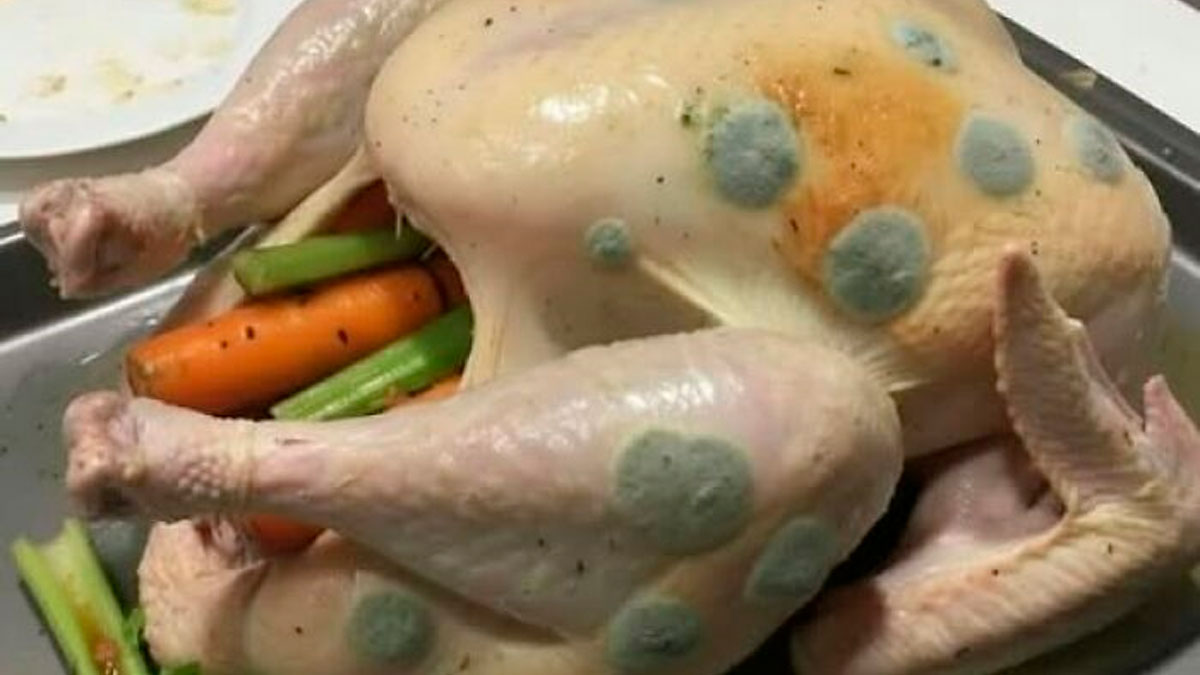 Raw chicken with green mold spots on skin, placed on vegetables in a baking tray, example of food pics to be shamed online