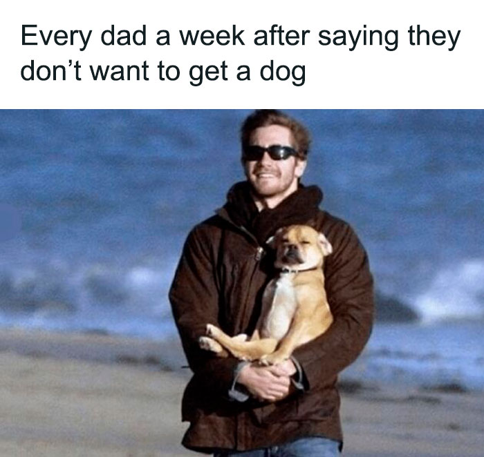 Man wearing sunglasses happily holding a dog on the beach, illustrating adorable dog memes and pet love moments.