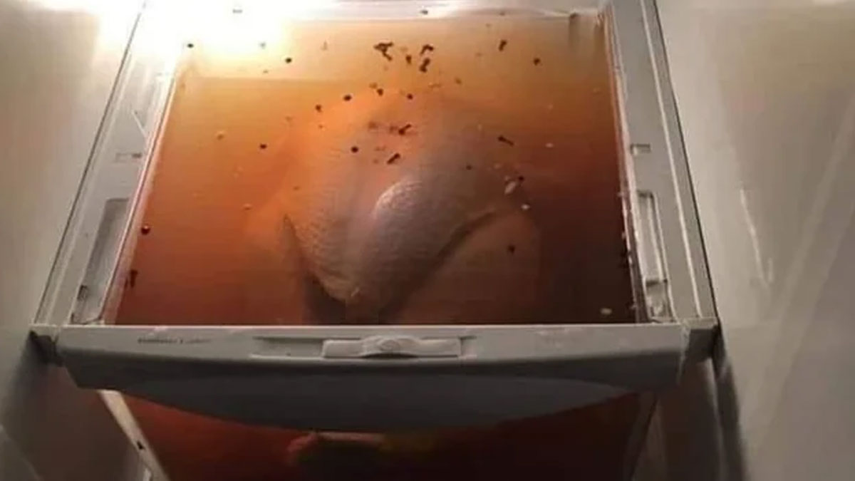 Half-frozen turkey submerged in liquid inside a wild dude fridge with scattered spices visible above.