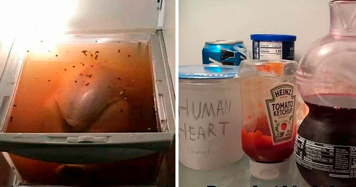 46 Hilariously Unhinged “Dude Fridges” (New Pics)