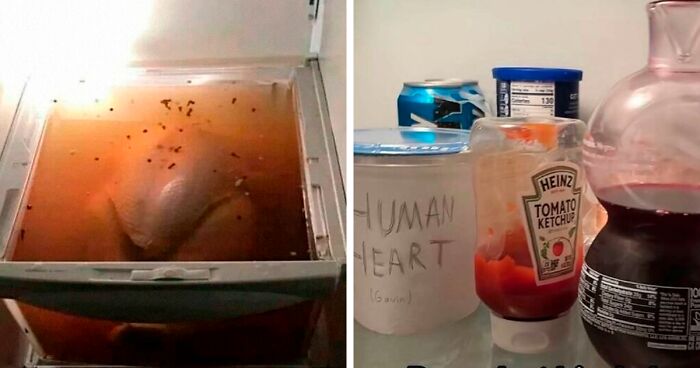 46 Unhinged And Questionable Fridges Shared On ‘Dude Fridges’ (New Pics)