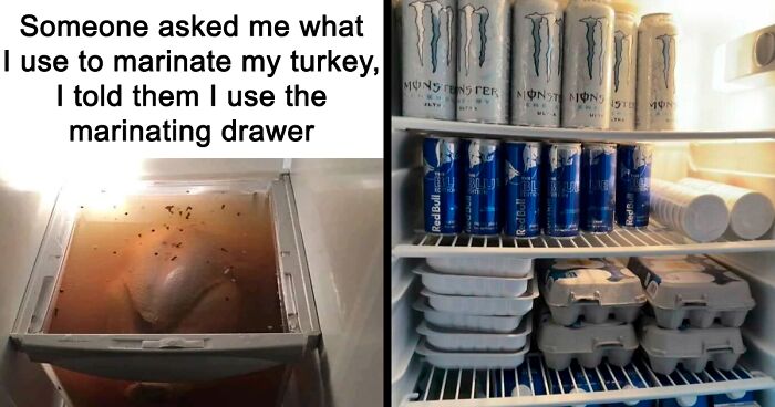 46 Hilariously Unhinged “Dude Fridges” (New Pics)