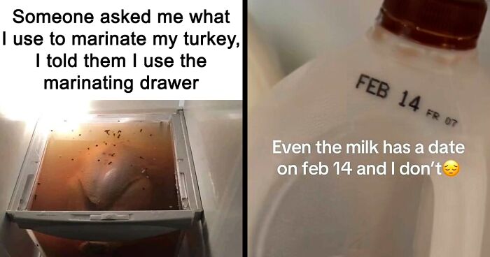 46 Hilariously Unhinged “Dude Fridges” (New Pics)