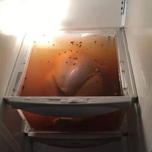 46 Hilariously Unhinged “Dude Fridges” (New Pics)