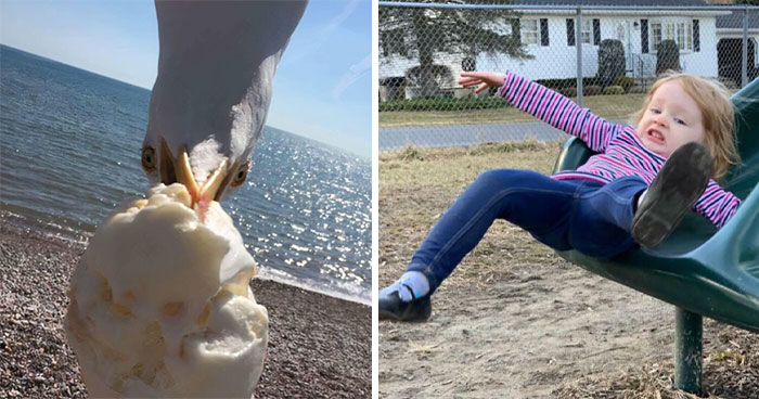 88 Funny, Interesting And Weird Pics That Were Taken At The Perfect Time