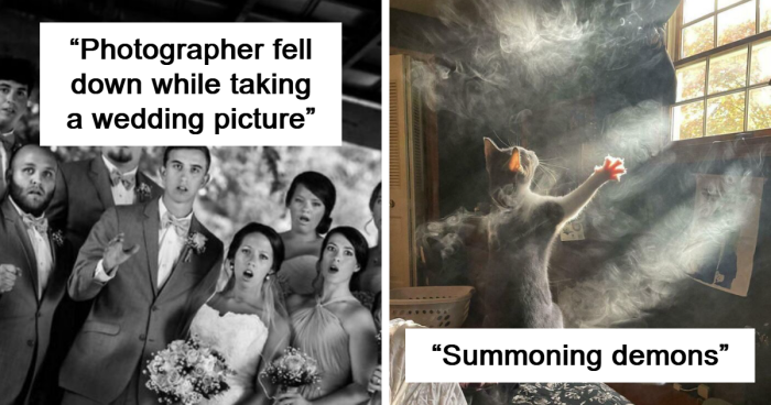 88 Funny, Interesting And Weird Pics That Were Taken At The Perfect Time
