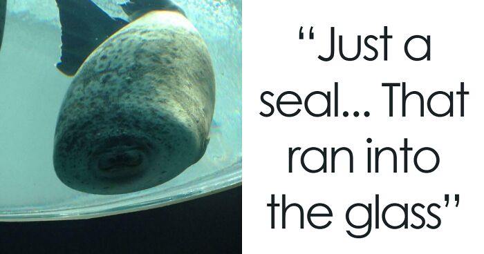 88 Funny, Interesting And Weird Pics That Were Taken At The Perfect Time