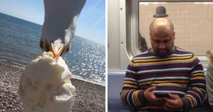 88 Funny, Interesting And Weird Pics That Were Taken At The Perfect Time
