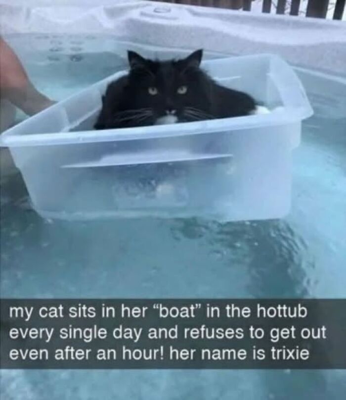 Black and white cat sitting stubbornly in a plastic container floating in a hottub, behaving like a jerk.
