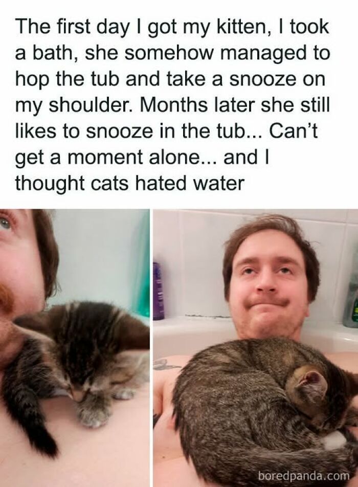 Man taking a bath with his kitten snoozing on his shoulder and in the tub, showing cats behaving like jerks.