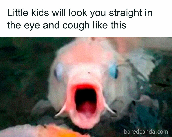 Fish with mouth wide open illustrating funny memes that have no reason to be this funny about kids coughing.