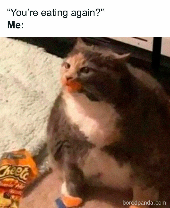 Cat with orange-stained mouth caught eating Cheetos, featured in a collection of memes that are unreasonably funny.