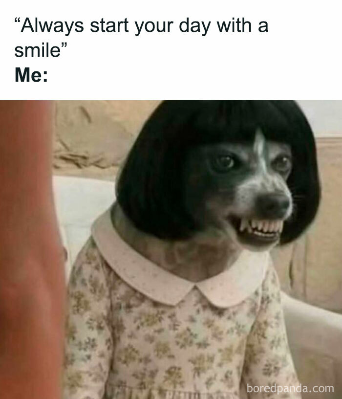Dog dressed in a floral dress and wig showing teeth in a funny meme with no reason to be this funny.