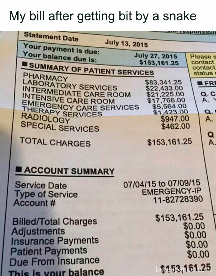 Medical bill showing extreme charges after snake bite, highlighting the unexpected humor in memes about costly healthcare.