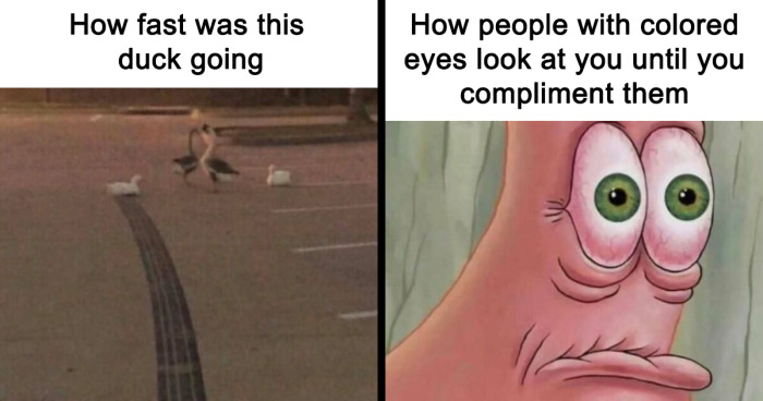 77 Memes That Have No Reason To Be This Funny