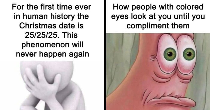 77 Memes That Have No Reason To Be This Funny