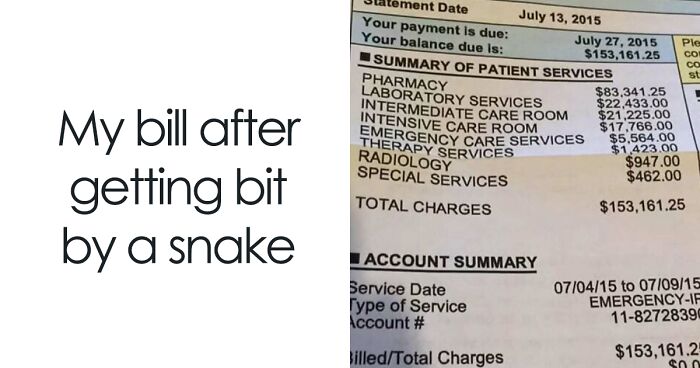 77 Memes That Have No Reason To Be This Funny