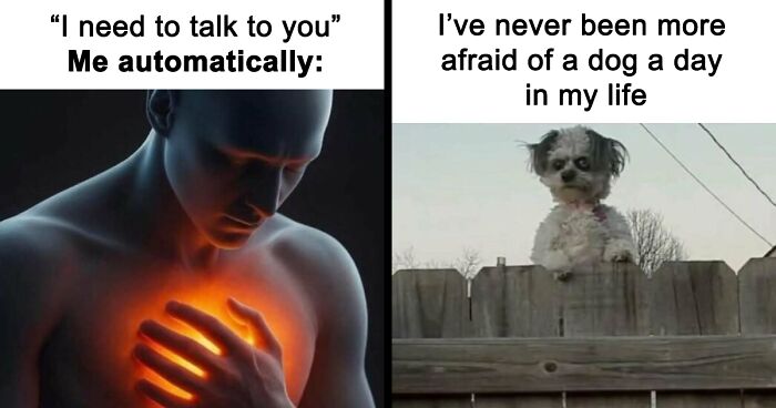 77 Memes That Have No Reason To Be This Funny