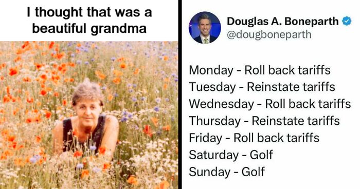 40 Funny Random Memes That Are Perfect To Scroll When You’re In A Slump (New Pics)