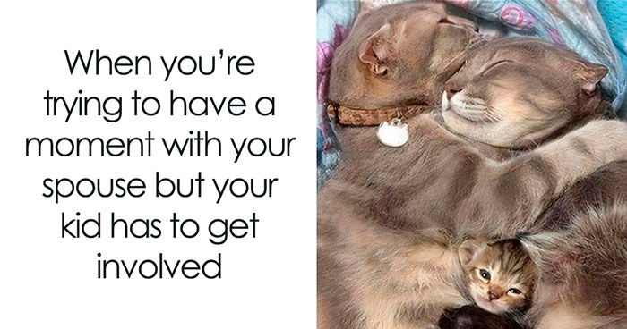 50 Mom Memes That Are So Real It Almost Hurts
