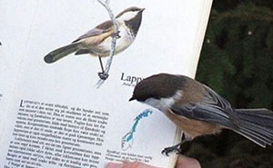 50 Of The Most Hilarious Tweets Amateur Comedians Graced Us With This November