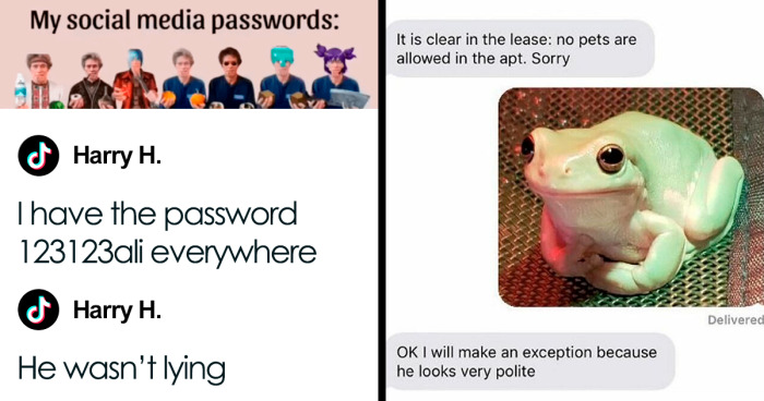 67 Hilarious Posts That Have No Reason To Exist, Except To Make You Laugh
