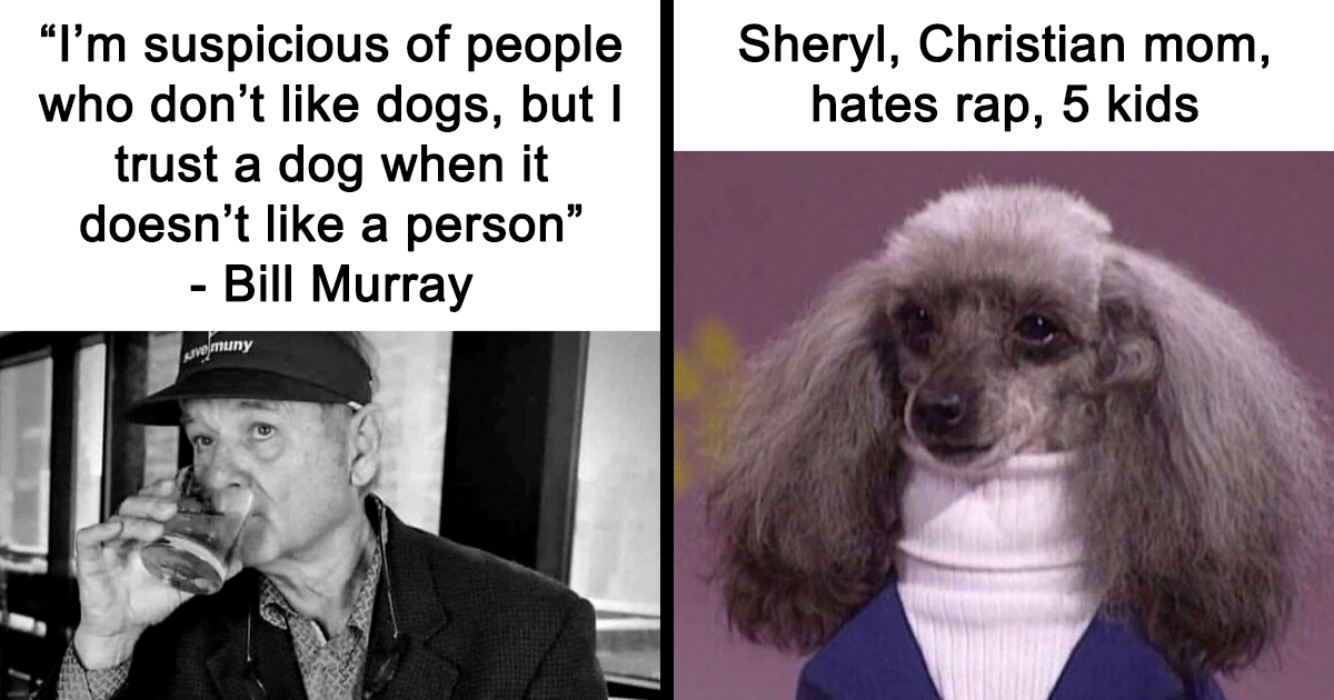 If You're Feeling Heavy Today, Here Are 53 Adorable And Lighthearted Animal Memes