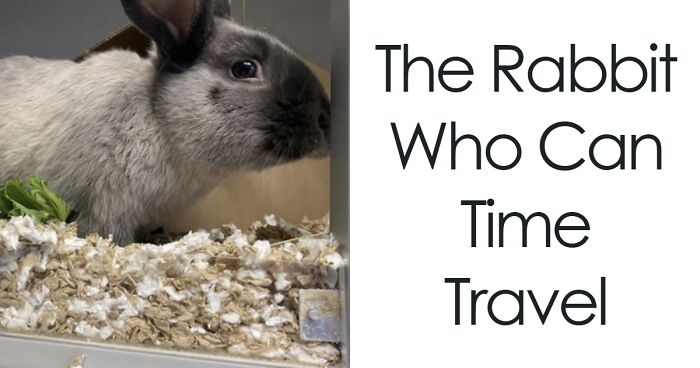 71 Hilarious Animal Names Found On ‘Petfinder’ That Take Creativity To A Whole New Level (New Pics)