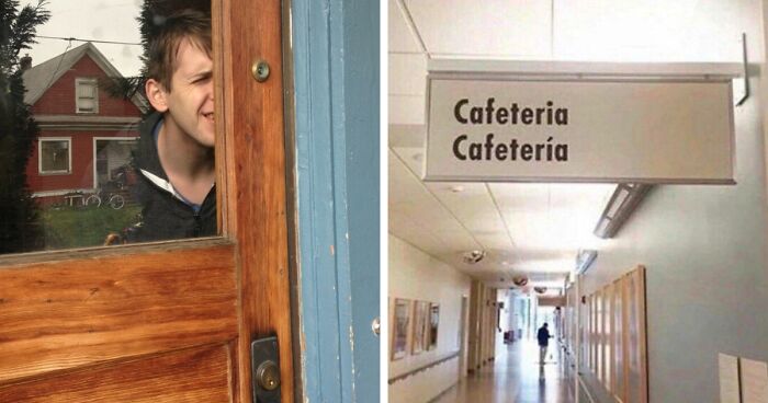 33 Pointless Things That Serve Absolutely No Purpose Except For Being Funny