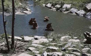 Estos 15 memes son tan absurdos que casi parecen arte