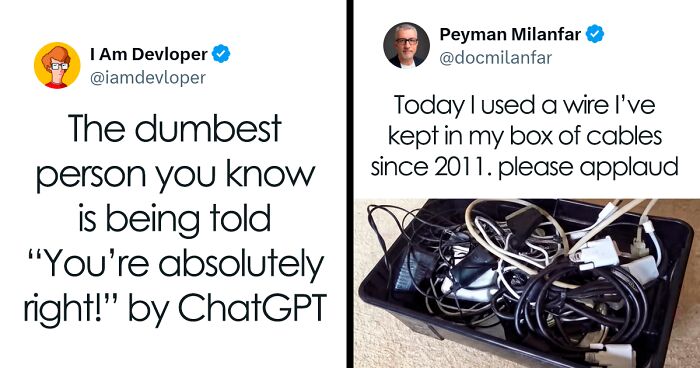 93 Chaotic Non-Political Tweets That Made The Internet Feel Fun Again (New Pics)