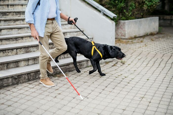 Man with a white cane walking down stairs guided by a black service dog, illustrating life facts and daily challenges.