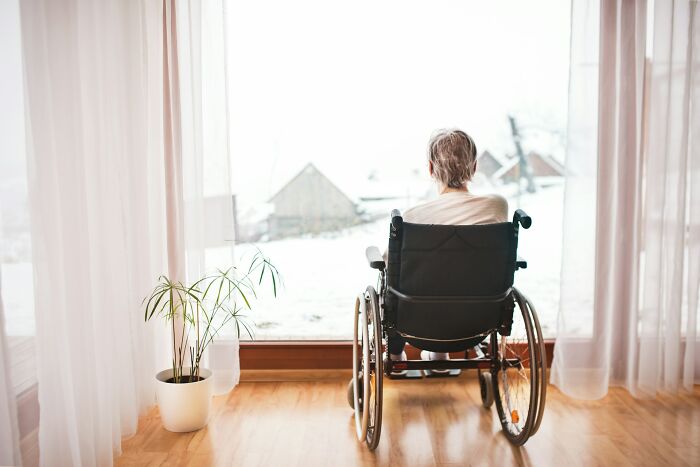 Person in a wheelchair looking out a large window with a plant nearby, illustrating life facts and reflections.