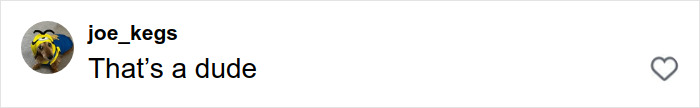 Comment on social media post saying That’s a dude in response to high school teacher’s costume photos sparking outrage among parents. Comment on social media post saying That’s a dude in response to high school teacher’s costume photos sparking outrage among parents.