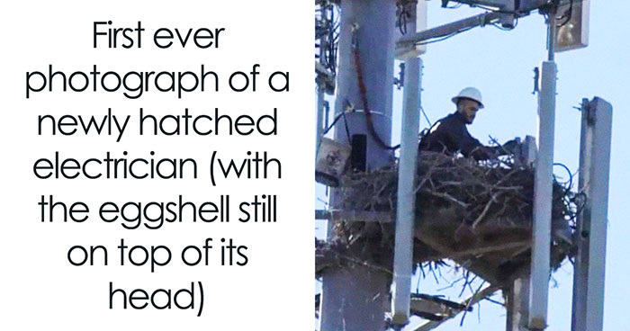 63 Funny Memes That Might Make Might Your Dark And Cold Winter Days Brighter