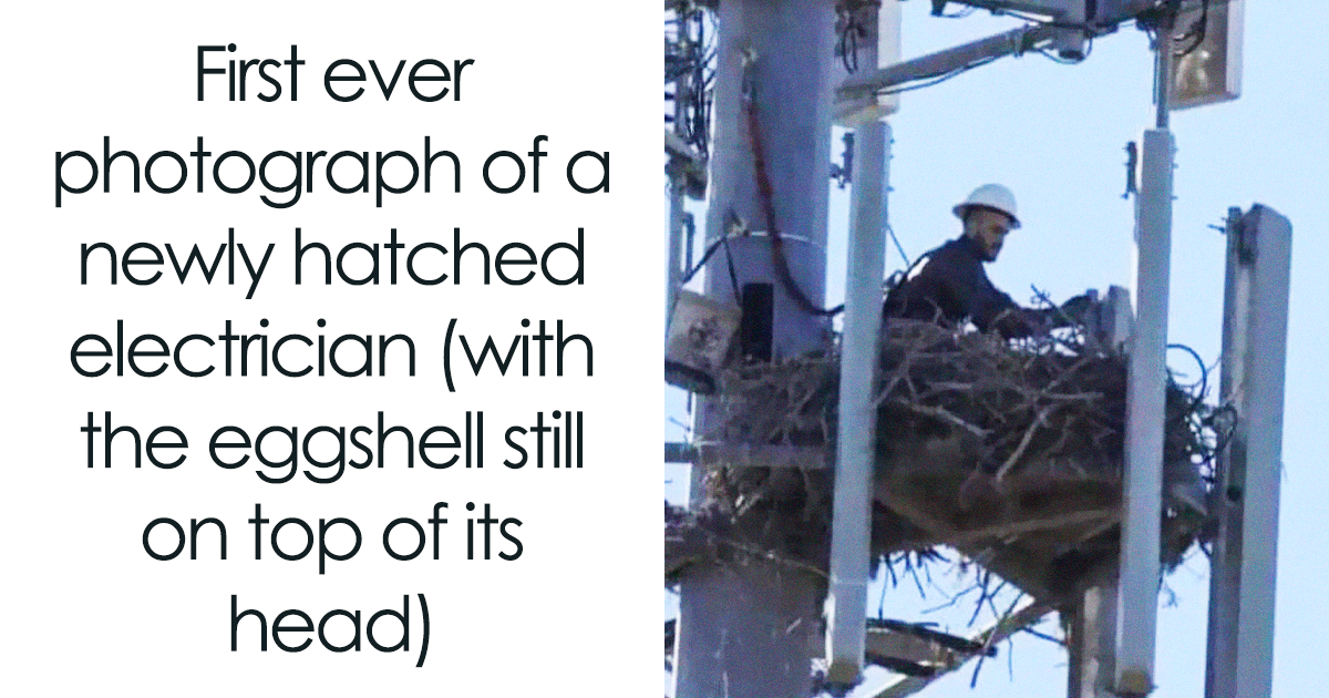 “Look No Father”: 63 Funny Memes To Scroll While You Can No Longer Be Productive At Work