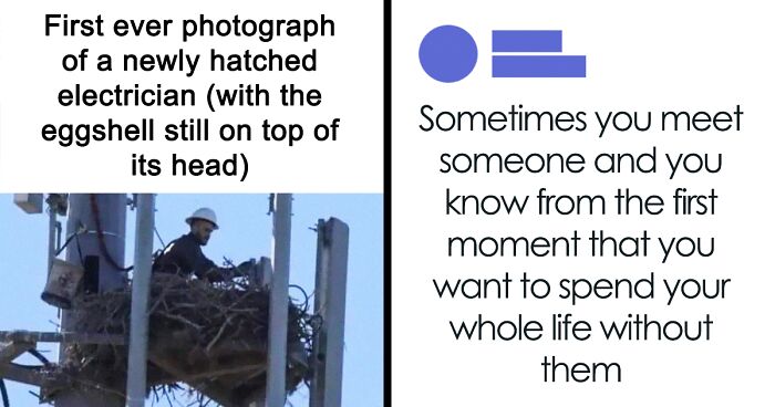 63 Memes You Might Want To Share As They’re Too Funny To Keep To Yourself